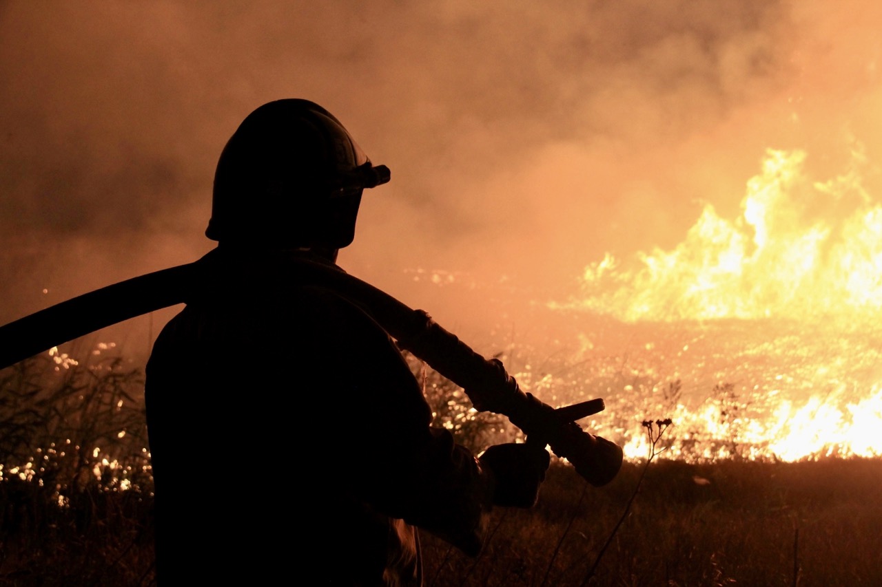 ASPEN, CO WILDFIRE HOME PROTECTION | FIREFLYS FLAME DEFENSE